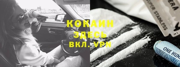 дурь Ладушкин