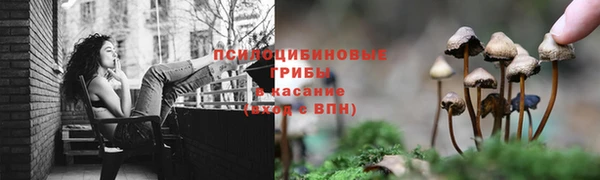 Альфа ПВП Липки