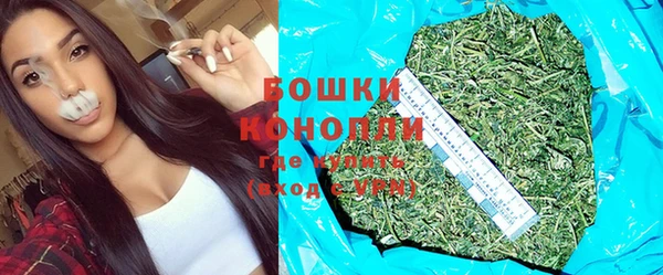дурь Ладушкин