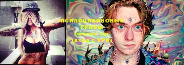 дурь Ладушкин